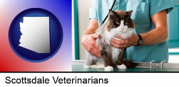 a veterinarian and a cat in Scottsdale, AZ