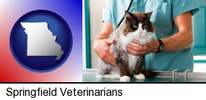 Springfield, Missouri - a veterinarian and a cat