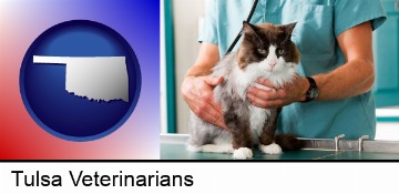 a veterinarian and a cat in Tulsa, OK