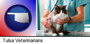 Tulsa, Oklahoma - a veterinarian and a cat