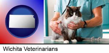 a veterinarian and a cat in Wichita, KS