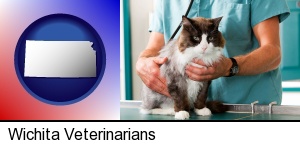 Wichita, Kansas - a veterinarian and a cat