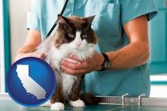 a veterinarian and a cat - with CA icon