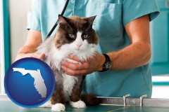 a veterinarian and a cat - with FL icon