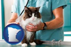 minnesota a veterinarian and a cat