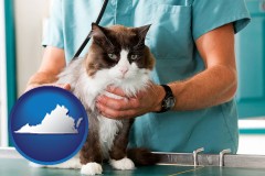 a veterinarian and a cat - with VA icon