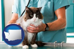 washington a veterinarian and a cat