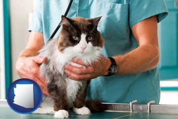 a veterinarian and a cat - with Arizona icon