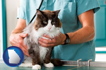a veterinarian and a cat - with Georgia icon
