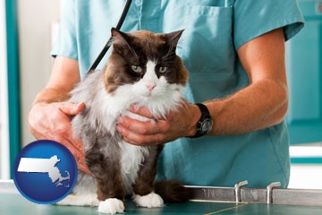 a veterinarian and a cat - with Massachusetts icon