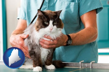 a veterinarian and a cat - with Maine icon