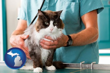 a veterinarian and a cat - with Michigan icon