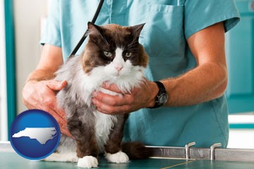a veterinarian and a cat - with North Carolina icon