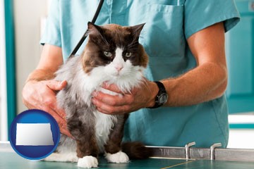 a veterinarian and a cat - with North Dakota icon