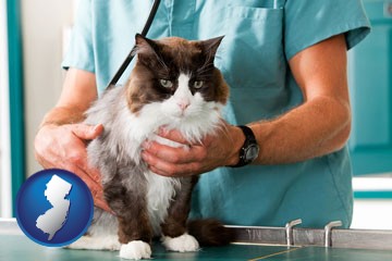 a veterinarian and a cat - with New Jersey icon