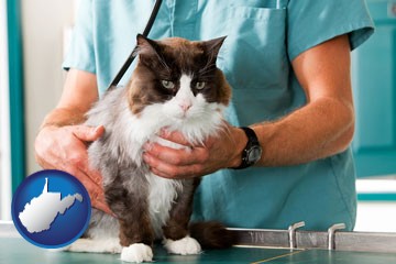 a veterinarian and a cat - with West Virginia icon