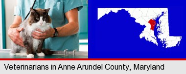 a veterinarian and a cat; Anne Arundel County highlighted in red on a map