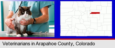 a veterinarian and a cat; Arapahoe County highlighted in red on a map