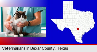 a veterinarian and a cat; Bexar County highlighted in red on a map