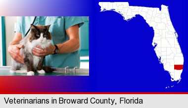 a veterinarian and a cat; Broward County highlighted in red on a map