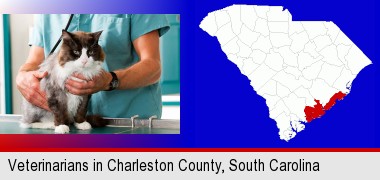 a veterinarian and a cat; Charleston County highlighted in red on a map