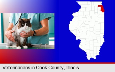 a veterinarian and a cat; Cook County highlighted in red on a map