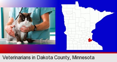 a veterinarian and a cat; Dakota County highlighted in red on a map