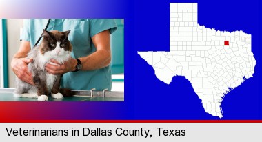 a veterinarian and a cat; Dallas County highlighted in red on a map