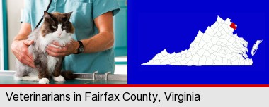 a veterinarian and a cat; Fairfax County highlighted in red on a map
