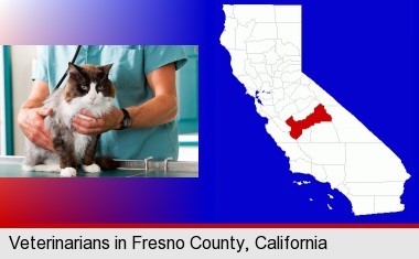 a veterinarian and a cat; Fresno County highlighted in red on a map