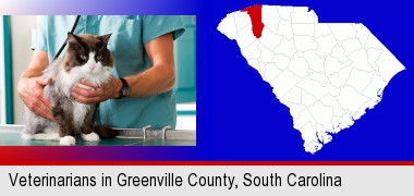 a veterinarian and a cat; Greenville County highlighted in red on a map
