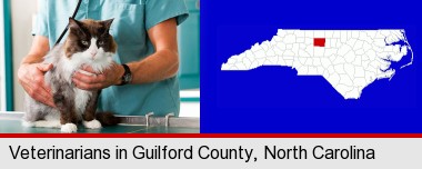 a veterinarian and a cat; Guilford County highlighted in red on a map