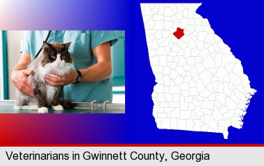 a veterinarian and a cat; Gwinnett County highlighted in red on a map