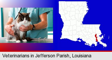 a veterinarian and a cat; Jefferson Parish highlighted in red on a map