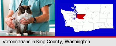 a veterinarian and a cat; King County highlighted in red on a map