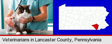 a veterinarian and a cat; Lancaster County highlighted in red on a map