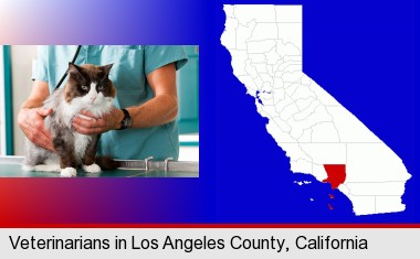 a veterinarian and a cat; Los Angeles County highlighted in red on a map