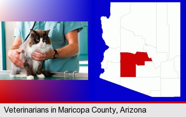 a veterinarian and a cat; Maricopa County highlighted in red on a map