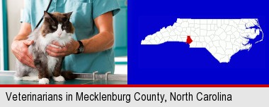 a veterinarian and a cat; Mecklenburg County highlighted in red on a map