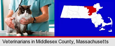 a veterinarian and a cat; Middlesex County highlighted in red on a map