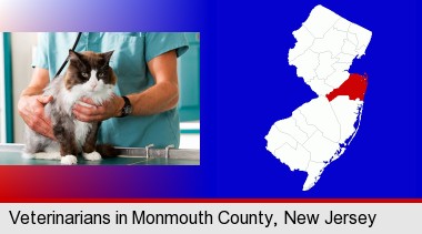a veterinarian and a cat; Monmouth County highlighted in red on a map