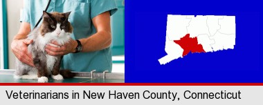 a veterinarian and a cat; New Haven County highlighted in red on a map
