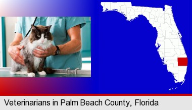 a veterinarian and a cat; Palm Beach County highlighted in red on a map