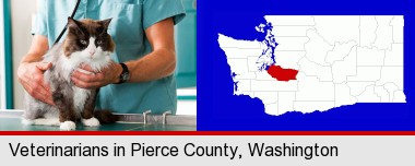 a veterinarian and a cat; Pierce County highlighted in red on a map