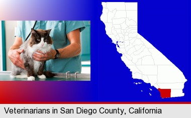 a veterinarian and a cat; San Diego County highlighted in red on a map