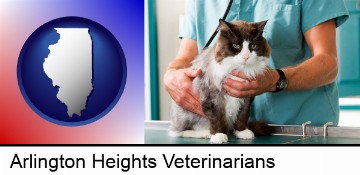 a veterinarian and a cat in Arlington Heights, IL