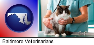 Baltimore, Maryland - a veterinarian and a cat
