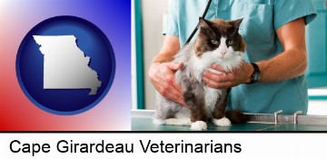 a veterinarian and a cat in Cape Girardeau, MO