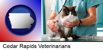 a veterinarian and a cat in Cedar Rapids, IA