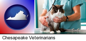 a veterinarian and a cat in Chesapeake, VA